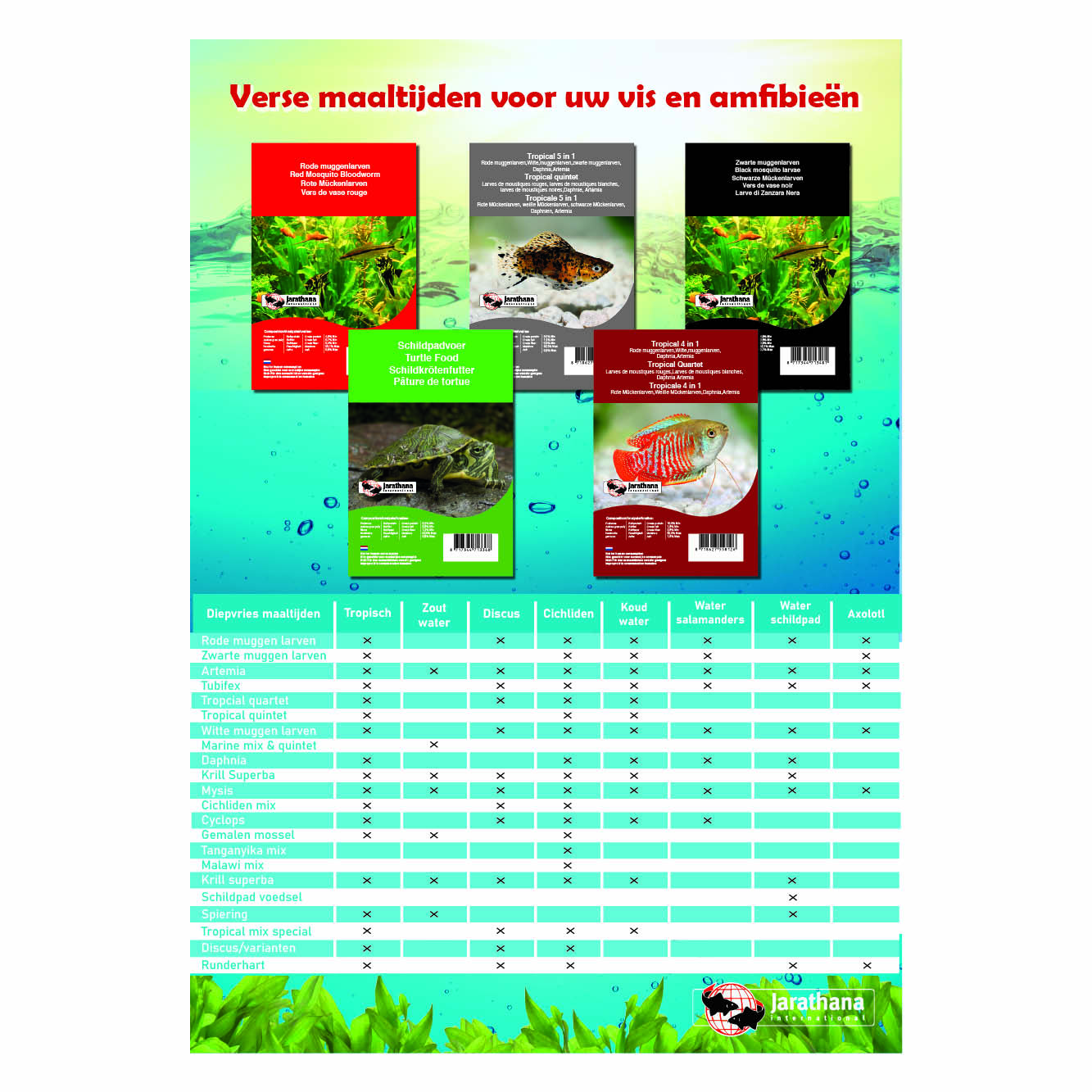 Poster diepvries blister